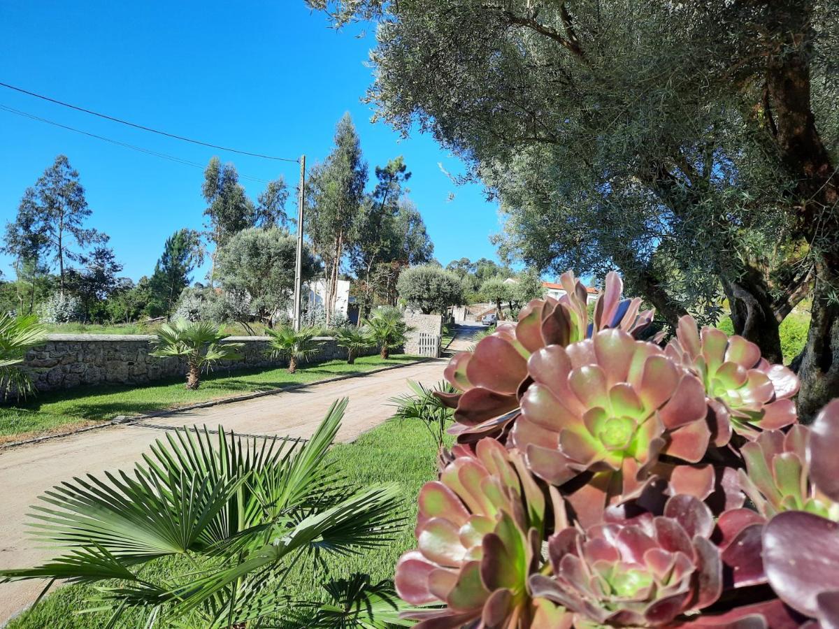 Villa Quinta De Castelhao Barcelos Exterior foto